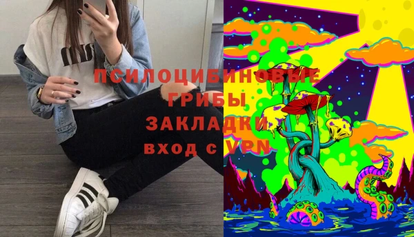 индика Зеленодольск