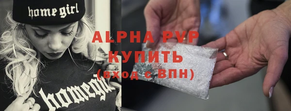 индика Зеленодольск