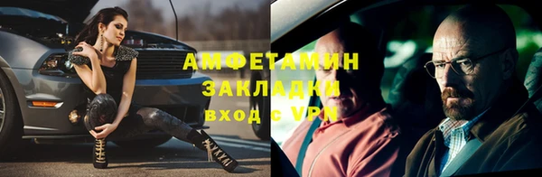 индика Зеленодольск