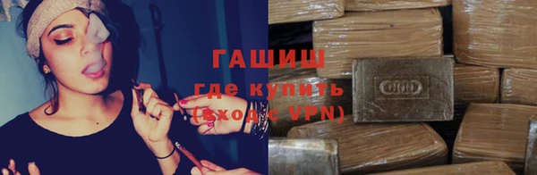 индика Зеленодольск