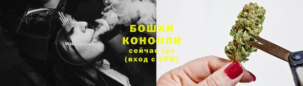 индика Зеленодольск