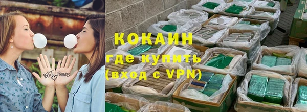 индика Зеленодольск