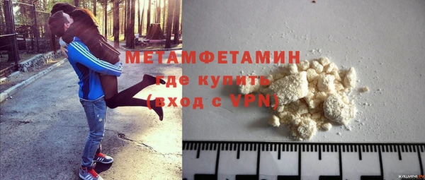 индика Зеленодольск
