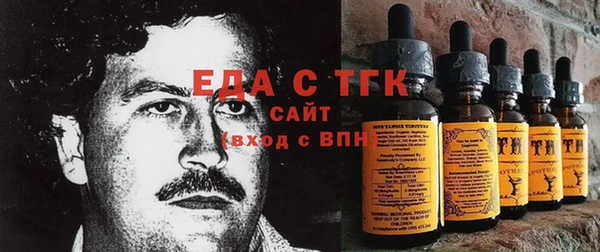 индика Зеленодольск