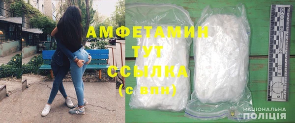 индика Зеленодольск