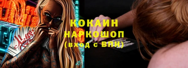 индика Зеленодольск