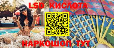 СК Донецк
