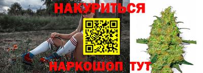 СК Донецк
