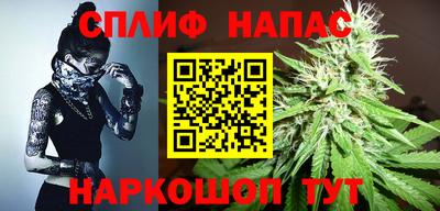 PSILOCYBIN Донской