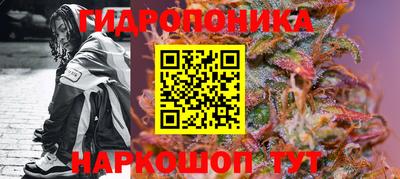 СК Донецк