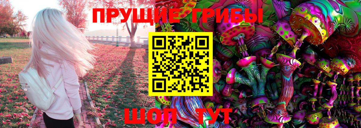 Галлюциногенные грибы прущие грибы  Вход с VPN  Новомосковск  Галлюциногенные грибы Cubensis 