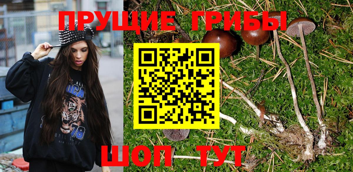 Псилоцибиновые грибы прущие грибы Новомосковск