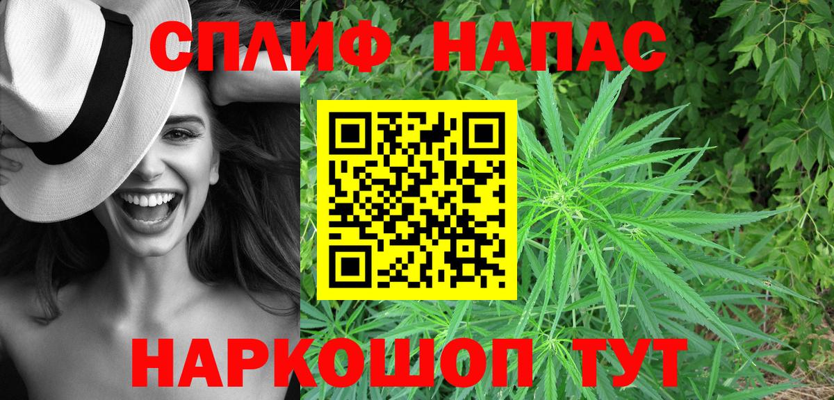 Канабис семена Новомосковск